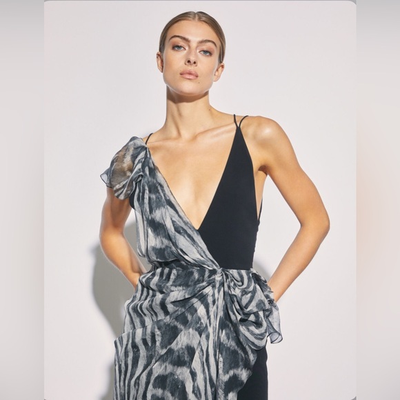 NWT IRO Lusk Asymmetrical Animal Print Dress. Size 4 - Picture 1 of 7